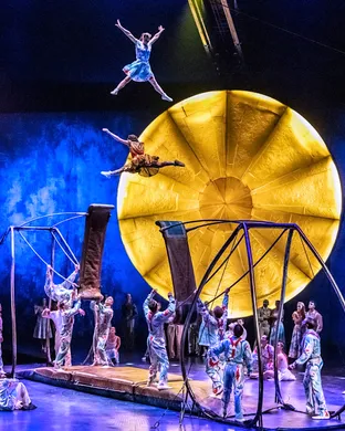 Cirque du Soleil - Luzia Del Mar