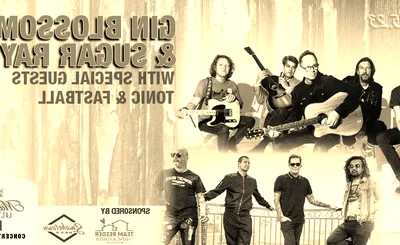 Gin Blossoms
