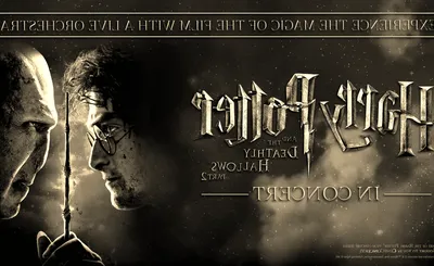 Harry Potter and The Deathly Hallows Part 1 In Concert