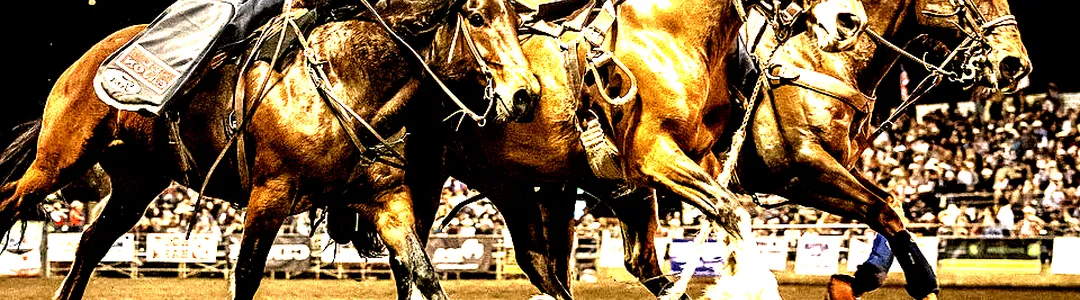 Lakeside Rodeo