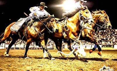 Lakeside Rodeo