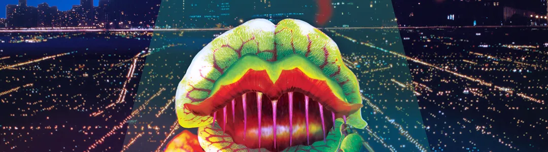 Little Shop Of Horrors