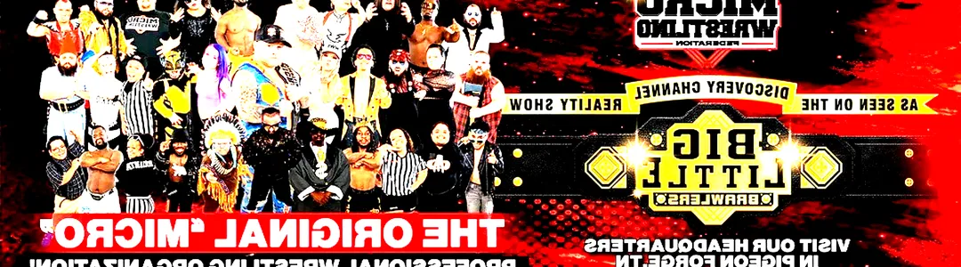 Micro Wrestling Federation
