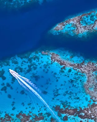 Leagues Cup: Phase One - San Diego FC vs. Club Puebla