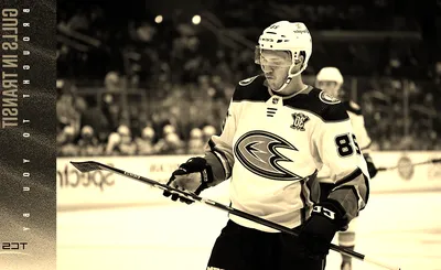 San Diego Gulls