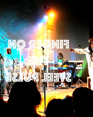 Steel Pulse