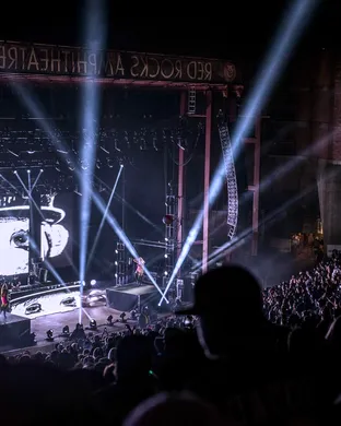 The Polish Ambassador