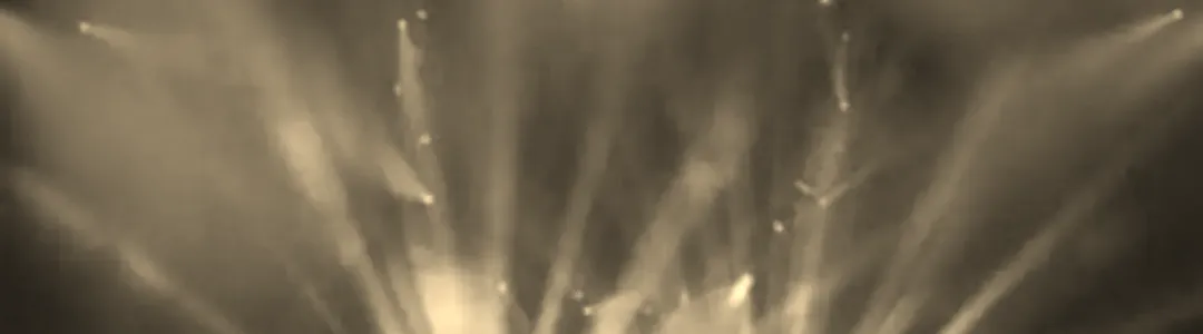 Which One's Pink - A Tribute to Pink Floyd