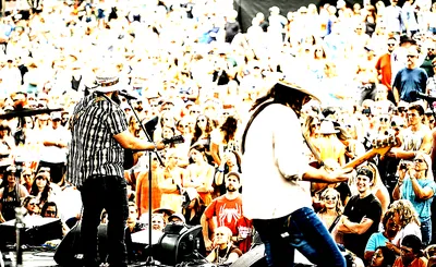 The White Buffalo