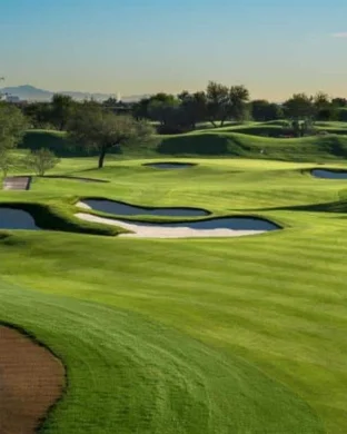 NCAA DI Men's Golf Championships - Stroke Play - Day 1 (Time: TBD) sports event